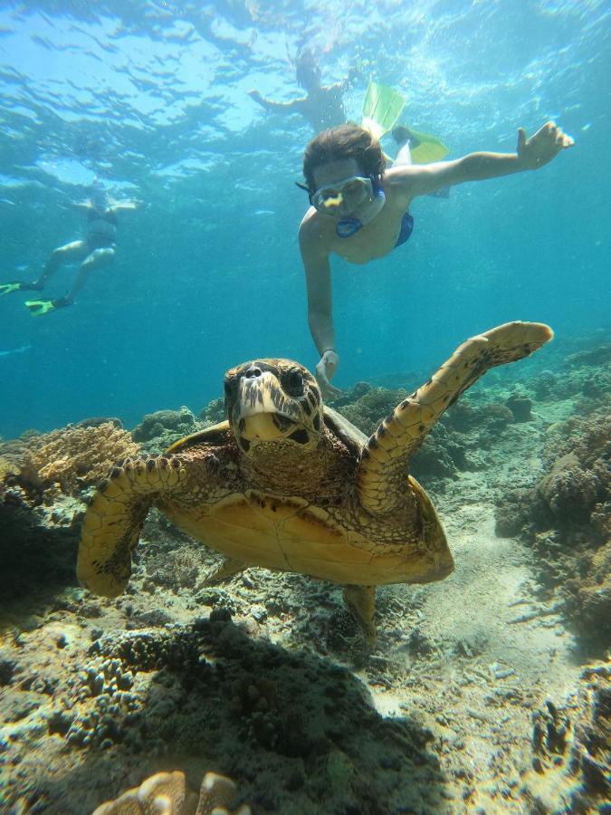 Gili Meno Mojo Beach Resort Zewnętrze zdjęcie